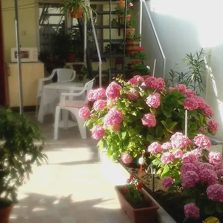 Apartman Dom Eli