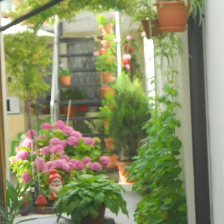 Dom Eli Apartment *