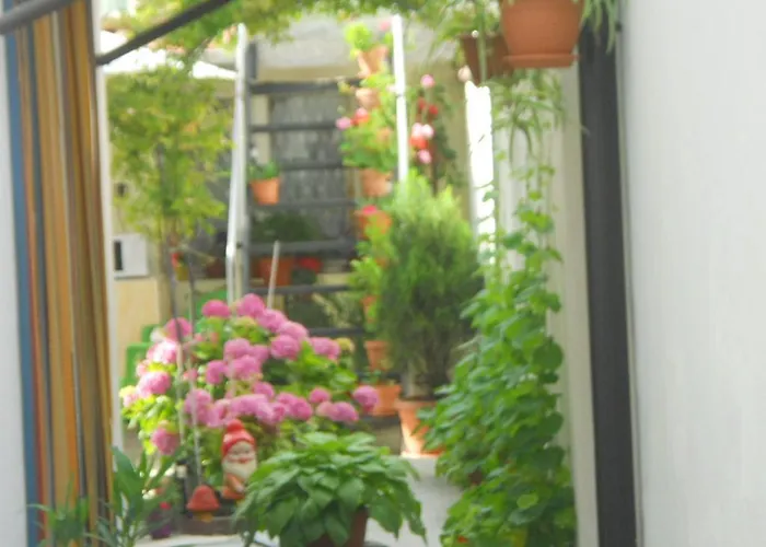 Dom Eli Апартамент *